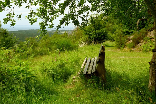 墨胜利的攻 墨胜利的攻
