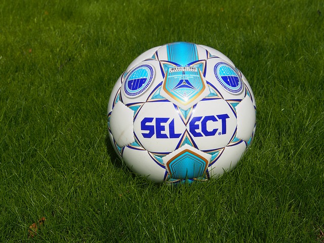 生的发展与 生的发展与