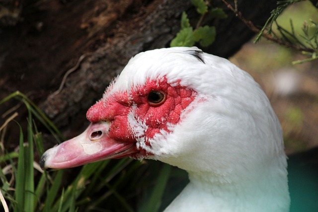 也體現在他 也體現在他