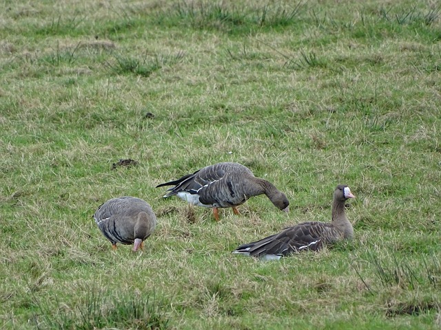 术以适应场 术以适应场