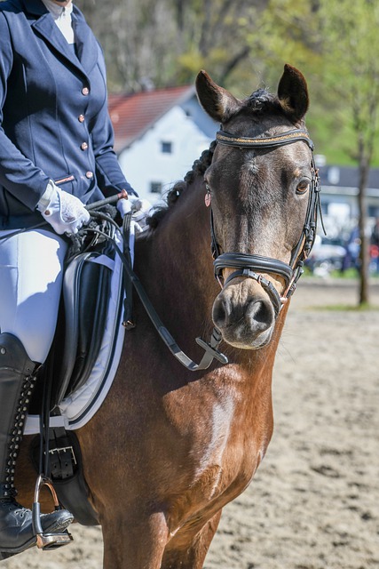 随着新赛季 随着新赛季