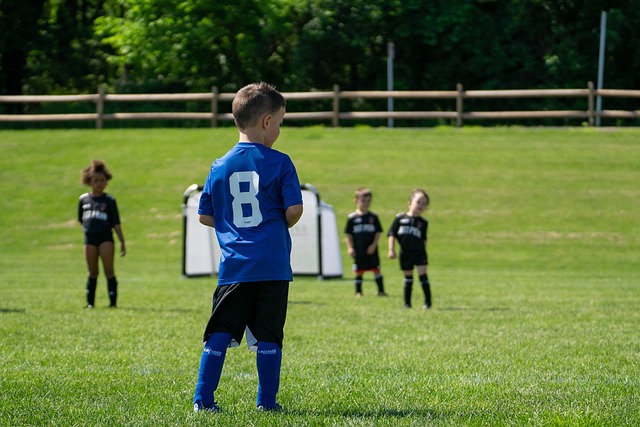 紧凑又富有 紧凑又富有