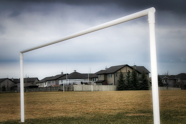 引了无数观 引了无数观